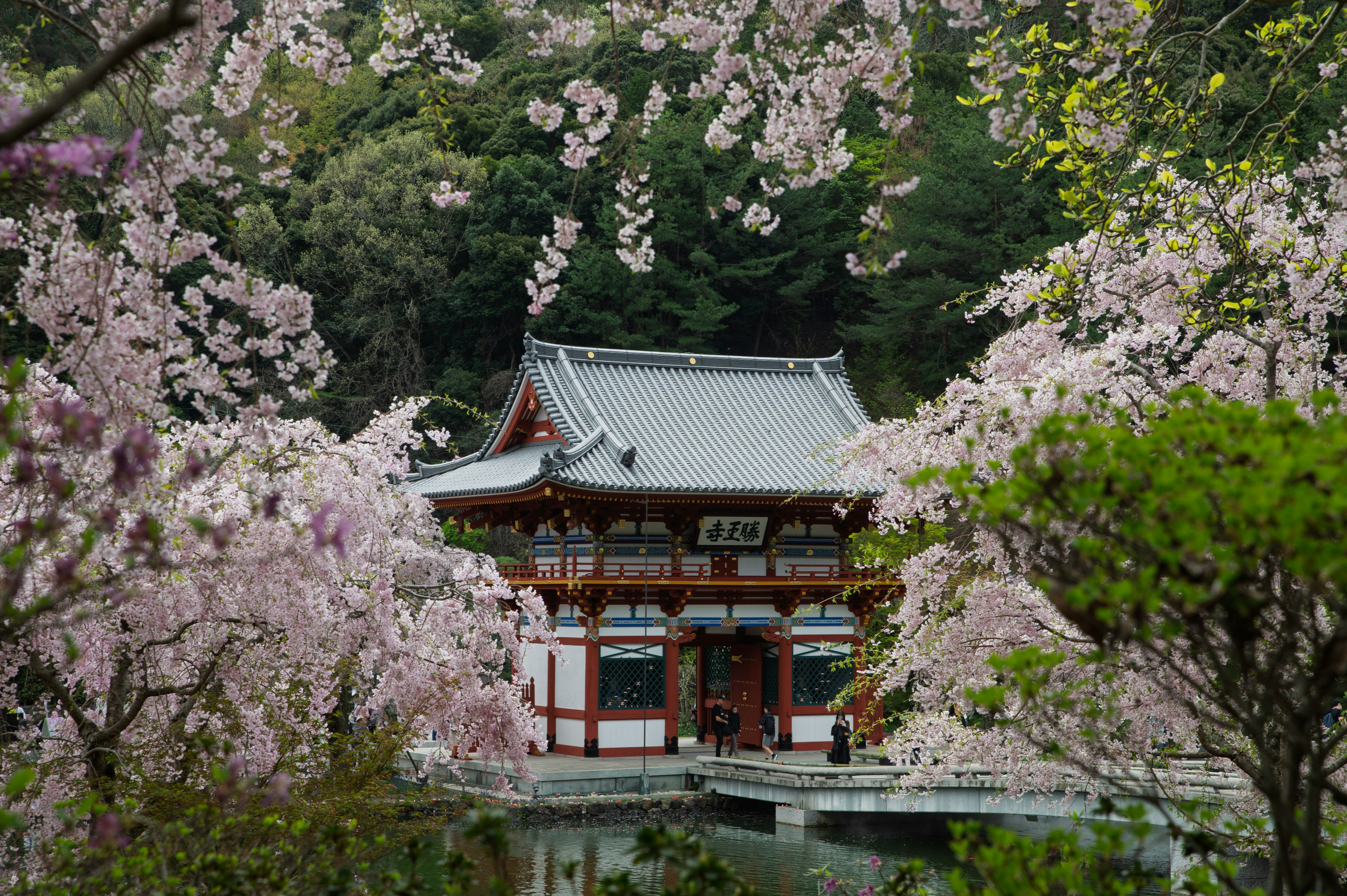  Discover the Magic of Japan. 