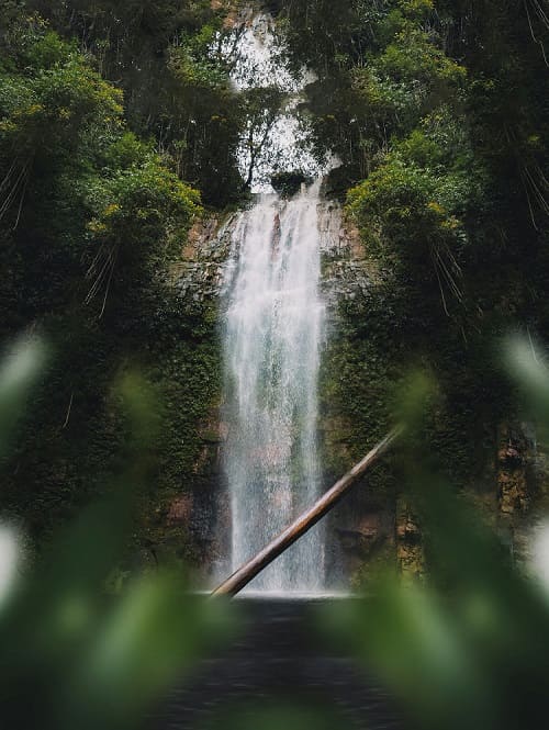 Borneo 