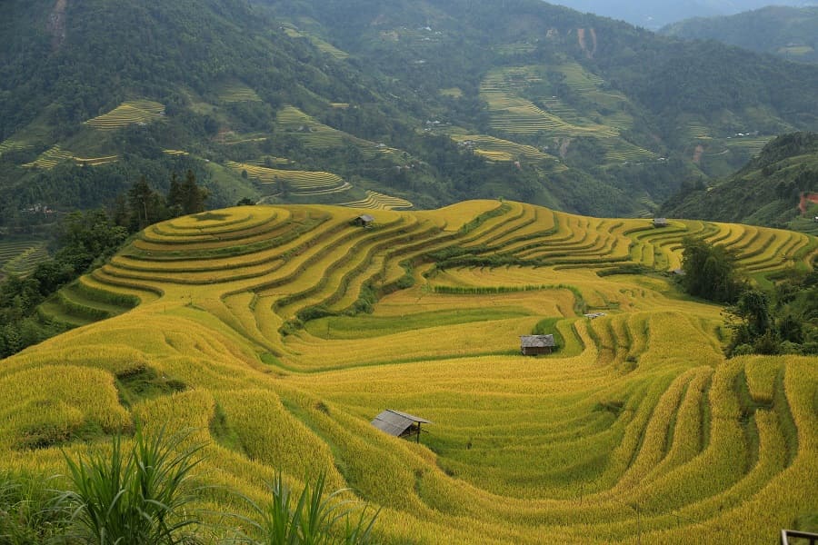 Ha Giang Loop