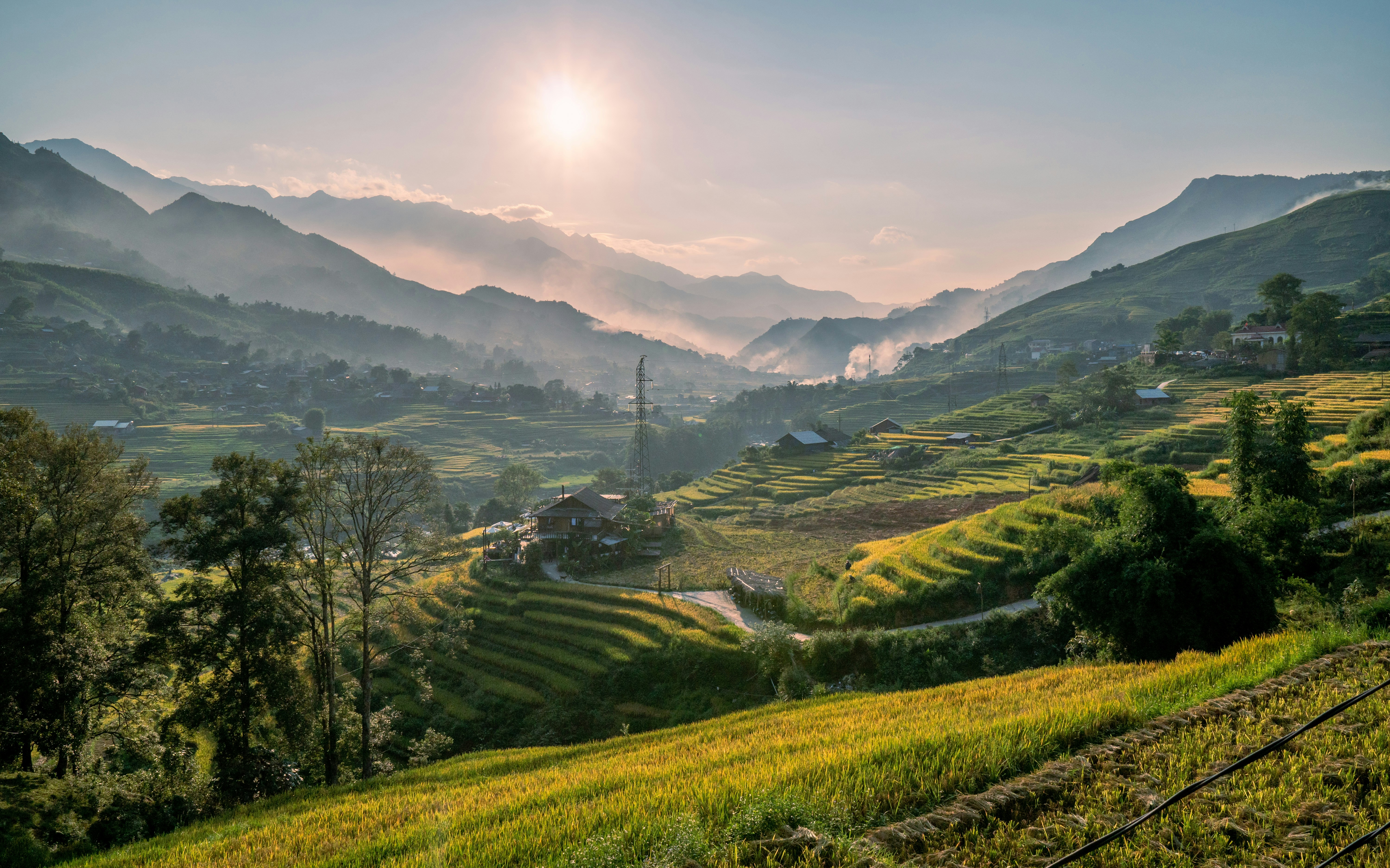 Sapa Rice Terraces