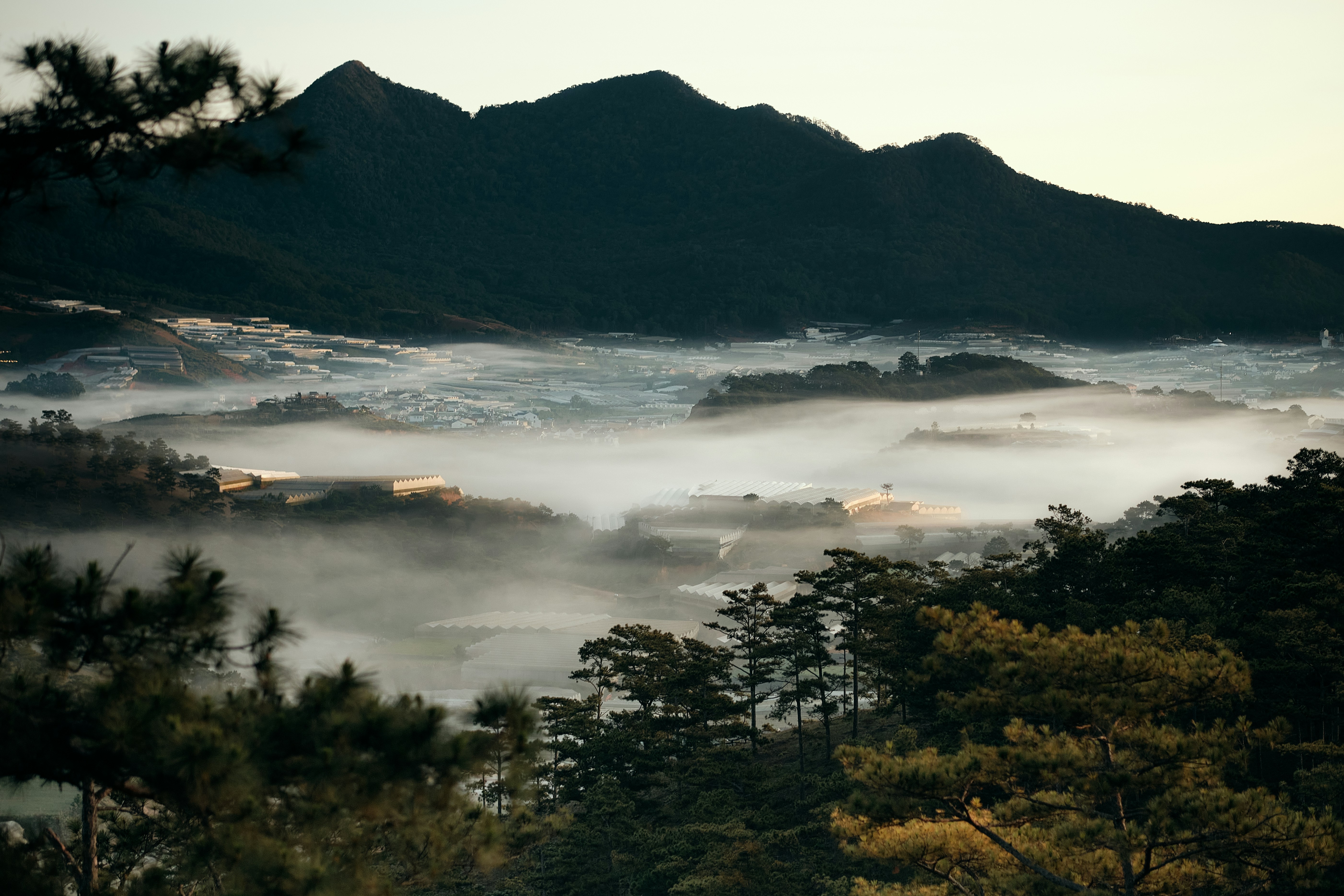 Da Lat Highlands