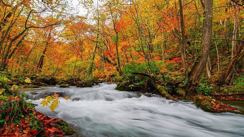 Oirase Gorge — Tohoku