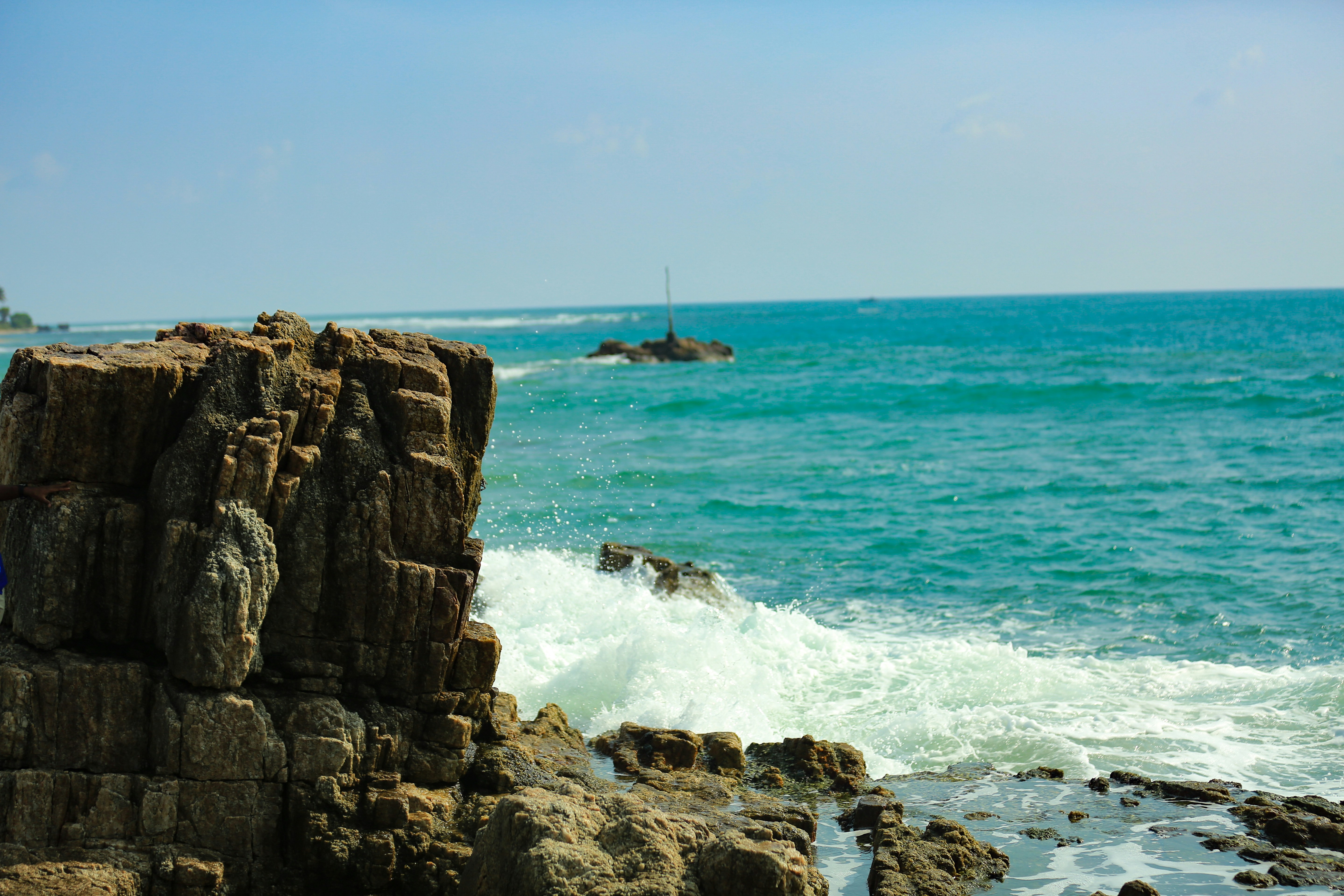Trincomalee — Blue Whales