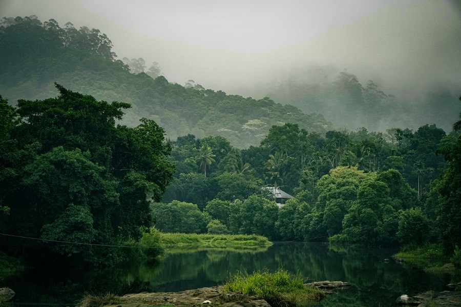 Periyar — Thekkady Wildlife