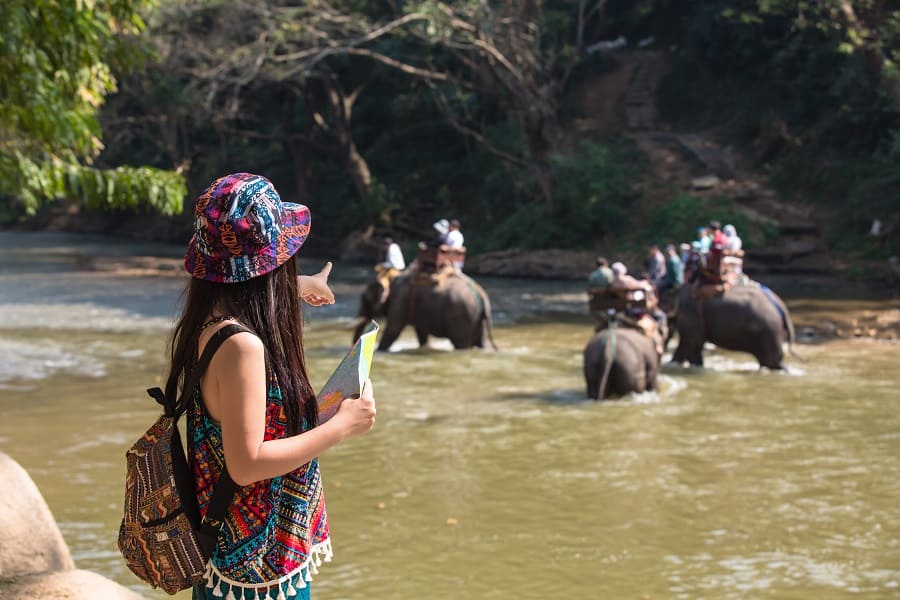 Periyar — Elephant Boat Safari