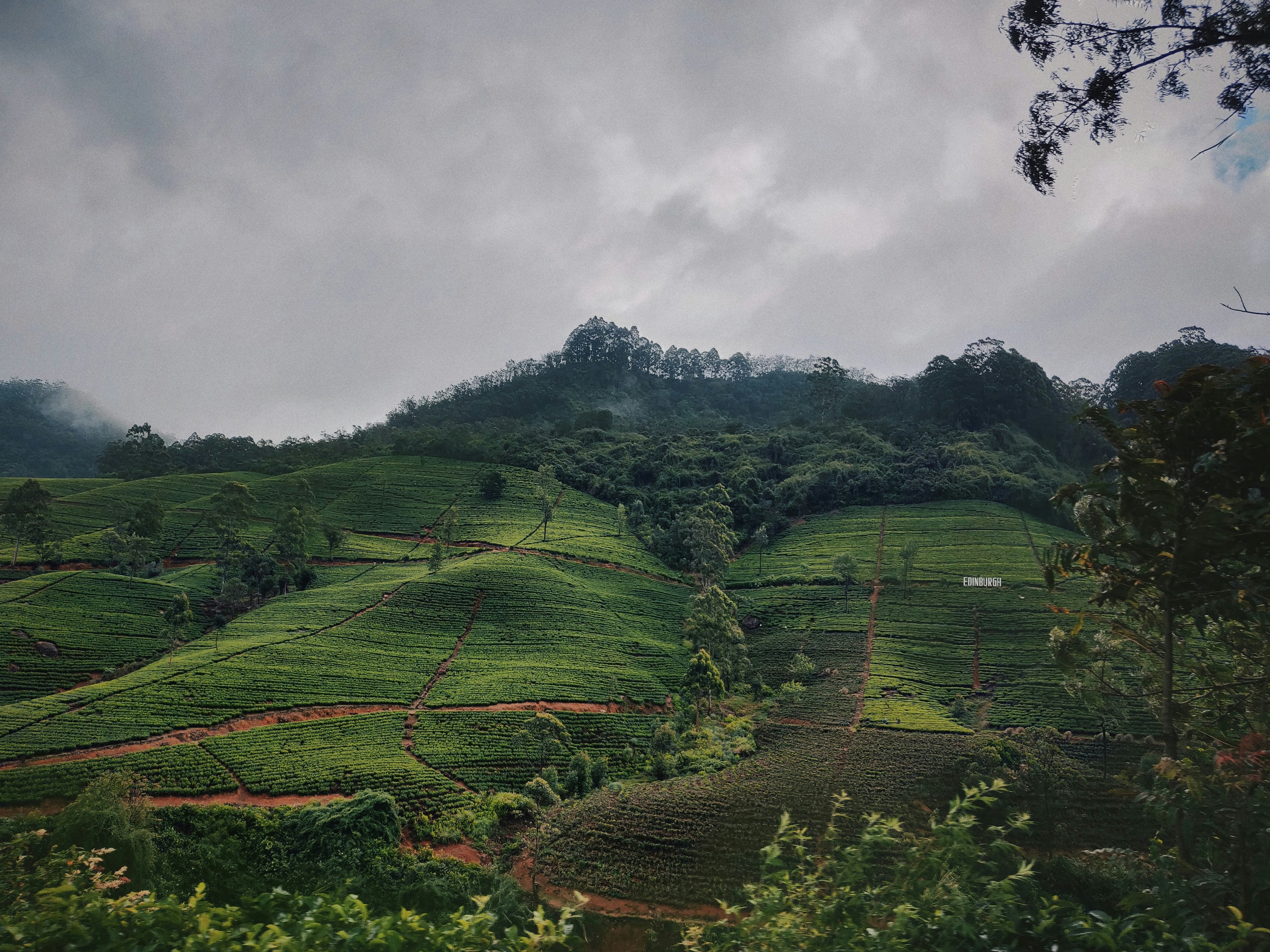 14 Days Premium Tour of Sri Lanka